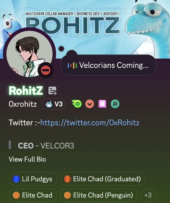 A Discord/social media profile for 'RohitZ' (@Oxrohitz) titled 'BOHITZ - MULTICHAIN COLLAB MANAGER / BUSINESS DEV / ADVISORY', showing 'CEO - VELCOR3', status 'Velcorians Coming...', and badges including Lil Pudgys, Elite Chad (Graduated), Elite Chad, and Elite Chad (Penguin).