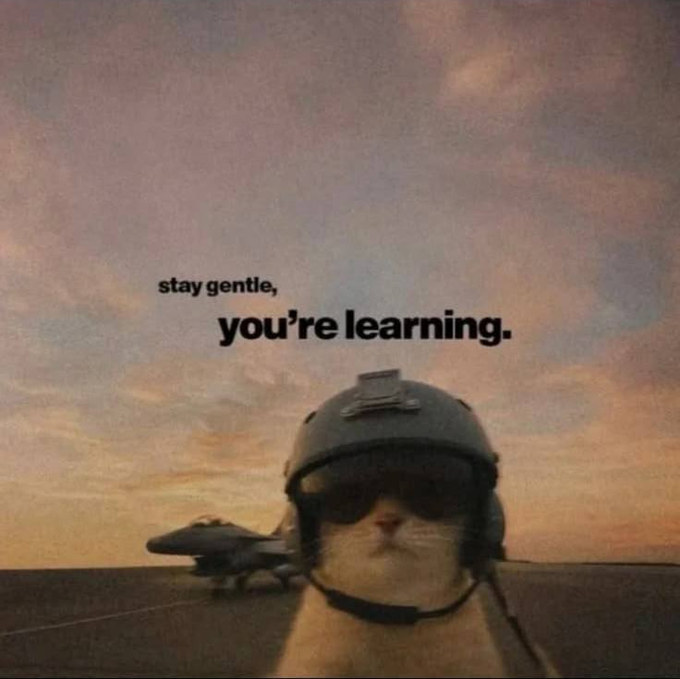 A motivational image featuring a cat wearing a pilot's helmet and goggles against a sunset sky with a fighter jet, accompanied by the text 'stay gentle, you're learning.'