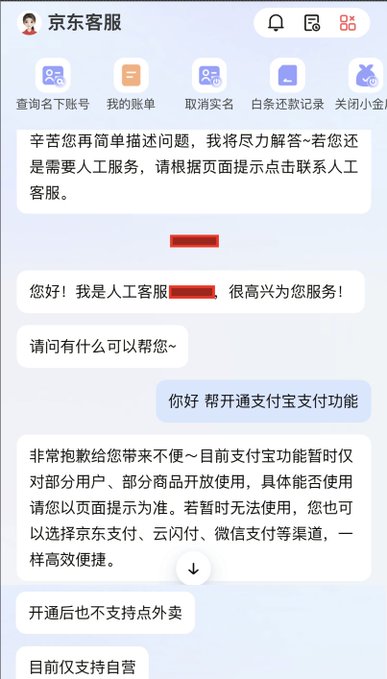The image shows a JD.com customer service chat where a user requests Alipay payment activation, but JD support responds that Alipay is only available to select users and certain products, and offers alternatives like JD Pay, YunFlashPay, and WeChat Pay instead—illustrating the platform's limited Alipay support mentioned in the post.