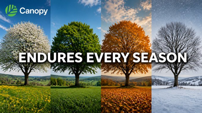 A Canopy advertisement showing a tree across four seasons (spring, summer, fall, winter) with the text 'Endures Every Season'.