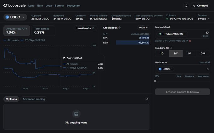 A screenshot of the Loopscale DeFi lending platform interface showing USDC market statistics including 7.84% avg borrower APY, 0.29% term spread, credit book details, and a 'No ongoing loans' section.