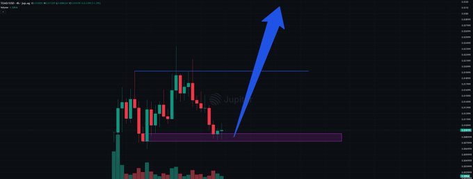 A cryptocurrency price chart displays candlestick patterns with a large blue arrow pointing upward from a highlighted support zone, visually reinforcing the "$TOAD has bottomed" claim by showing a potential reversal and higher price target following the recent dip.