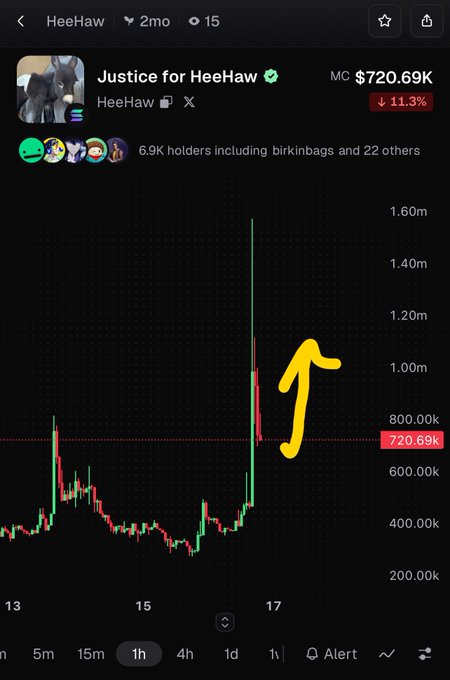 A mobile trading chart for the meme coin 'HeewHaw' (#HeewHaw) showing a market cap of $720.69K and a 11.3% decline, with a yellow hand-drawn arrow pointing to a recent price spike on the 1-hour candlestick graph.
