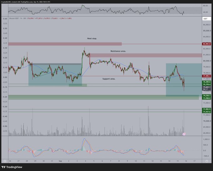 A TradingView chart of Bitcoin (BTC/USD) on Coinbase shows the price hovering around $74,495.10, with annotations marking a "Resistance area" near $82,840 and a "Support area" around $72,500, accompanied by an RSI indicator at the bottom. The chart illustrates the author's point by showing a recent dip that held above key support, forming a small bounce rather than breaking down further—a setup that contradicts the prevailing bearish sentiment and suggests the widespread shorting may be premature.