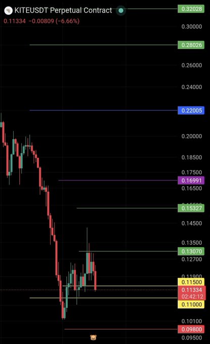 A candlestick chart of KITE/USDT Perpetual Contract shows the price at 0.11334, down 6.66% (-0.00809), with multiple horizontal support levels marked at 0.09800, 0.11000, 0.11334, 0.11500, 0.13070, 0.15327, 0.16931, 0.22005, and 0.28026, illustrating a sharp downtrend as the poster hopes for a bottom and potential reversal.