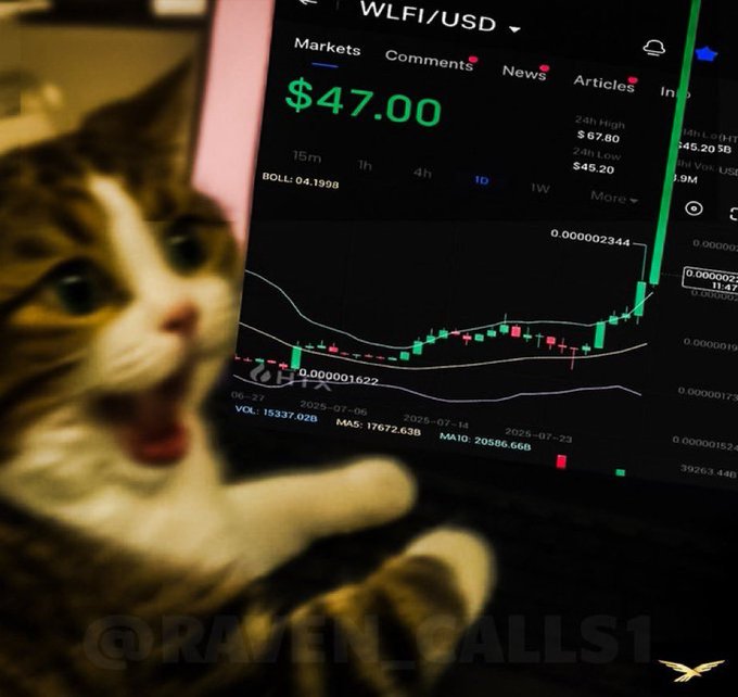 A meme featuring a shocked kitten pointing at a stock chart for WLFI/USD, which is displaying a price of $47.00 with significant green upward momentum.