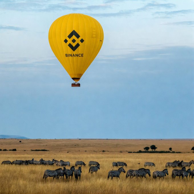 A yellow hot air balloon branded with the "BINANCE" logo floats above a herd of zebras grazing across an African savanna, evoking a serene sunrise moment that aligns with the "gm" (good morning) greeting in the crypto community.