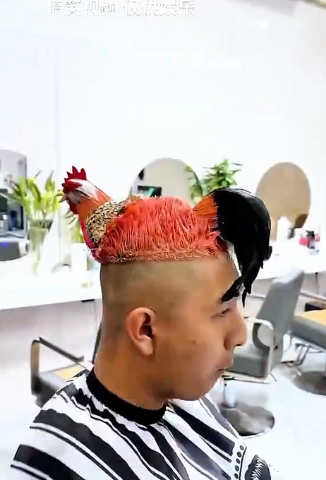 A man in a black and white striped barber cape gets an unusual haircut where his hair is styled and dyed to resemble two roosters—one orange and one black—fighting on his head.