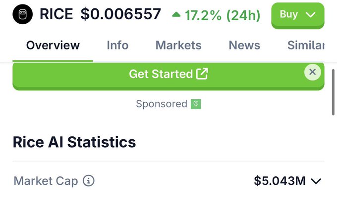 A cryptocurrency price tracker showing 'RICE' at $0.006557 with a 17.2% 24h increase, displaying a market cap of $5.043M under 'Rice AI Statistics'.