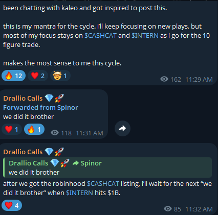 Discord chat messages discussing a mantra for a crypto cycle focused on new plays, $CASHICAT, and $INTERN for a 10-figure trade, along with forwarded messages from 'Drallio Calls'.