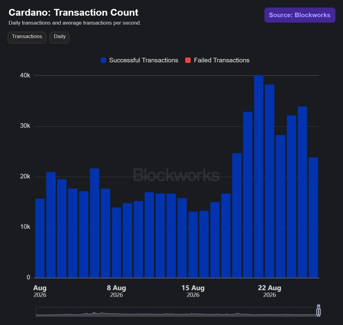 A Blockworks chart displays Cardano's (ADA) daily successful transactions throughout August 2026, showing a sharp increase to peaks of around 40,000 transactions around August 22-25, with virtually no visible failed transactions—visually confirming the post's claim of a 99.9991% success rate across the 550,000+ monthly transactions.