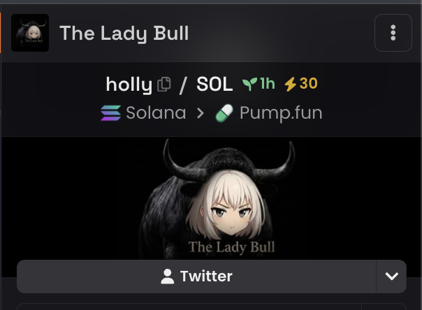 A crypto listing for 'The Lady Bull' featuring an anime-style bull girl avatar, showing ticker 'holly' on the Solana network via Pump.fun, listed 1 hour ago.