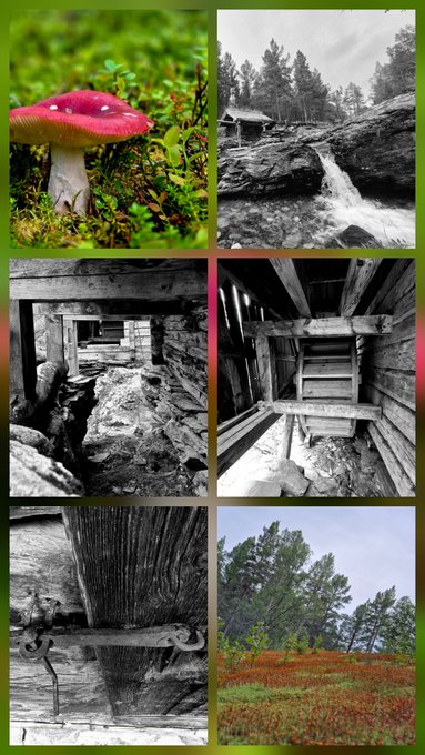 A photo collage with six images featuring nature scenes: a red-capped mushroom in moss, a black-and-white waterfall with a building, wooden structures and beams in black and white, a metal door hinge on wood, and trees over a field of orange vegetation.