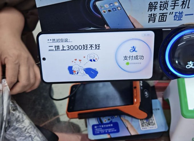 A smartphone displaying an Alipay payment success screen with the text '支付成功' and '二饼上3000好不好', held near a payment terminal.