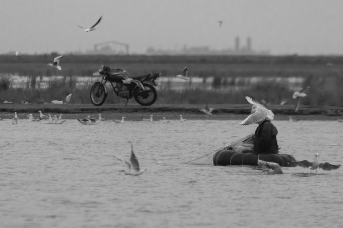 A black and white photograph showing a person on a small inflatable raft in a body of water surrounded by seagulls, with a motorcycle parked on the shore in the background.