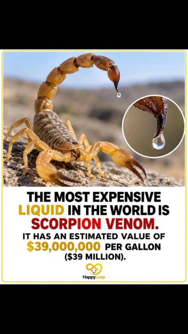 An infographic stating "THE MOST EXPENSIVE LIQUID IN THE WORLD IS SCORPION VENOM," showing a scorpion with a droplet of venom and noting it has an estimated value of $39,000,000 per gallon ($39 million), credited to Happygoop.