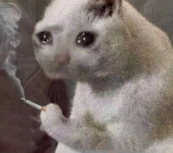 A close-up photo of a sad-looking white cat with large, teary eyes, holding a lit cigarette in its paw.