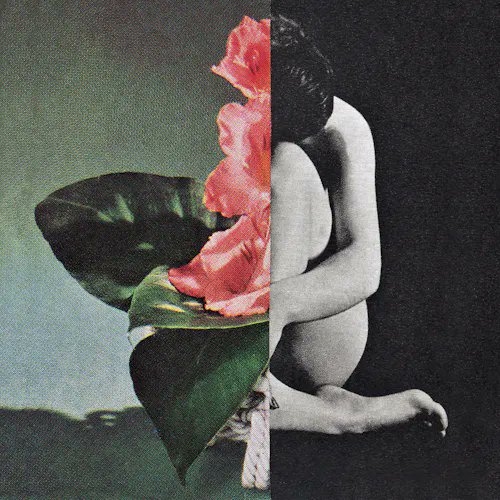 A split artistic collage showing a vintage color photograph of a pink flower on the left and a black-and-white photo of a curled human figure on the right, blending nature and anatomy.