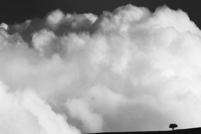 A black and white landscape photograph showing a small solitary tree silhouetted on a dark horizon beneath a massive, billowing cloud formation against a black sky.