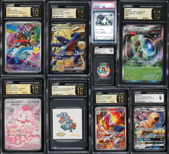 A collection of CGC-graded Pokémon trading cards with high gem-mint 10 ratings, featuring various holographic cards including Litten, Garchomp, Shuppet, Suicune, Slurpuff, and Croconaw.