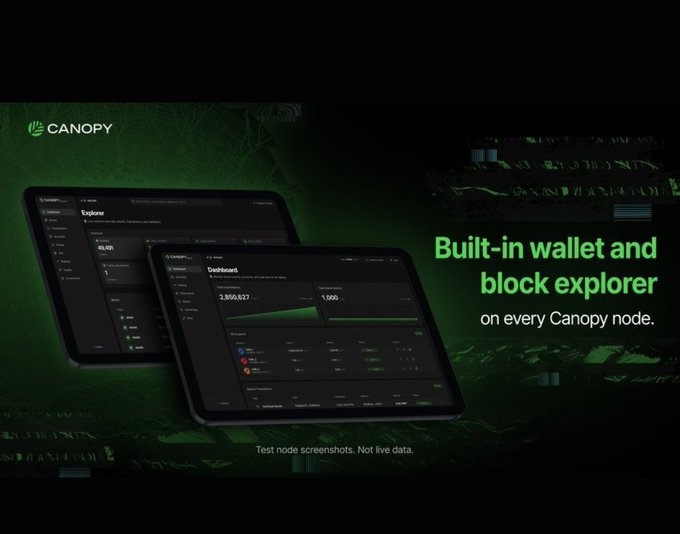 An advertisement for Canopy featuring tablet screens with the text 'Built-in wallet and block explorer on every Canopy node.'