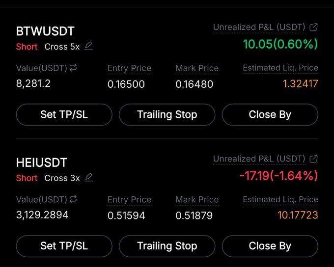 The image shows two active short positions in a trading interface: BTWUSDT (5x cross) currently at +10.05 USDT (0.60%) unrealized P&L with an entry price of 0.16500 and mark price of 0.16480, and HEIUSDT (3x cross) showing a loss of -17.19 USDT (-1.64%) with an entry at 0.51594 and mark price of 0.51879. This reflects the trader's personal leveraged short positions on both $HEI and $BTW, acknowledging the volatility that comes with such trades.