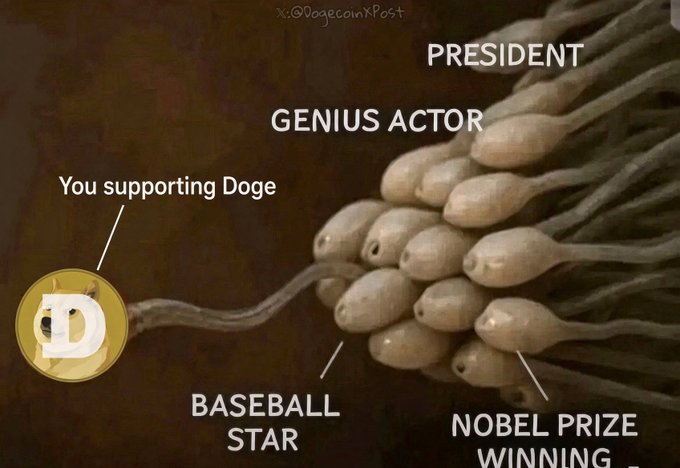 A Dogecoin meme depicts a single sperm cell (labeled "You supporting Doge") racing toward an egg composed of many other sperm cells labeled with prestigious titles like "PRESIDENT," "GENIUS ACTOR," "BASEBALL STAR," and "NOBEL PRIZE WINNING," humorously illustrating the overwhelming odds of an ordinary Doge supporter making it big in life. The image relates to the post "And here we are, Let's Doge!" by joking that despite the unlikely competition, the Dogecoin community is still showing up to try.