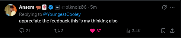 A Twitter/X post by Ansem (@blknoiz06) replying to @YoungestCooley, reading 'appreciate the feedback this is my thinking also' with 87 likes and 3.4K views.