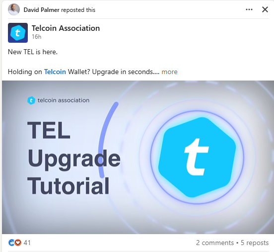 A LinkedIn repost by David Palmer of a Telcoin Association announcement about a "TEL Upgrade Tutorial" for upgrading TEL on Telcoin Wallet, shared with the caption noting that Palmer, a blockchain builder at a major telecom company, is paying attention to $TEL.