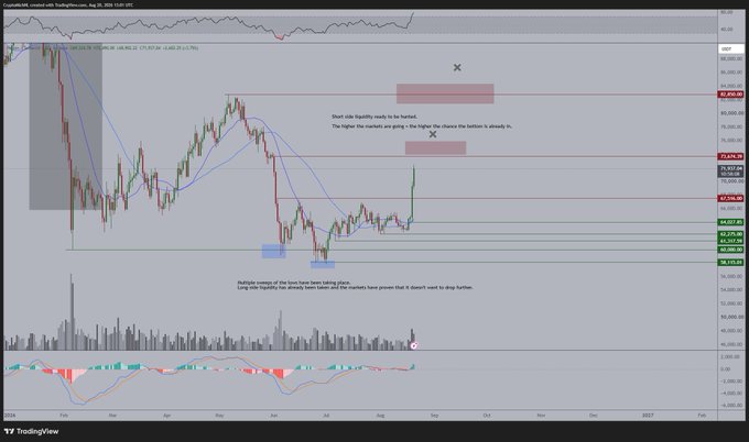 A TradingView chart of Bitcoin against the dollar on August 26, 2025, with annotations highlighting short-side liquidity and two key resistance levels marked at $73,676.76 and $81,850.69, alongside commentary noting multiple swing lows have been swept, indicating long positions at the highs may be ready to clear.