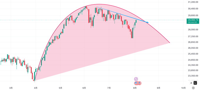 Financial candlestick chart showing price action from March through August with a curved pink shaded channel and blue downtrend line overlay, with current price near 29,008.78.
