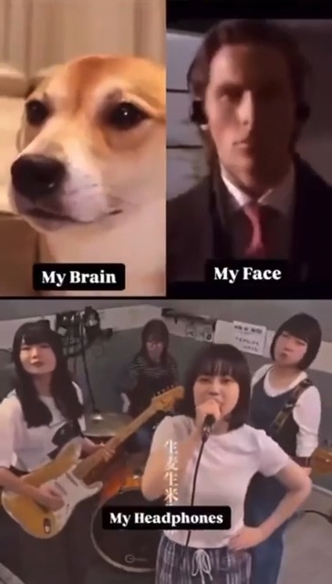 A three-panel meme captioned "gm" contrasts the disconnect between thoughts and sound: a dog's tearful face ("My Brain"), a person with a blank expression ("My Face"), and a loud Japanese rock band performing ("My Headphones"), humorously depicting how the poster silently goes about their morning while blasting energetic music only they can hear.