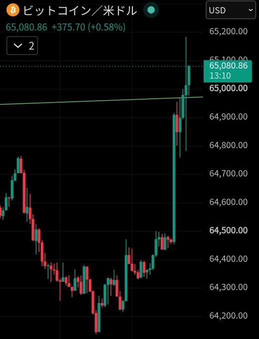 A candlestick chart shows Bitcoin (BTC/USD) surging to $65,080.86, up $375.70 (+0.58%), with a sharp spike visible at 13:10 as the price breaks past the $65,000 mark. The image directly illustrates the post's excitement about Bitcoin hitting the $65,000 milestone in real time.