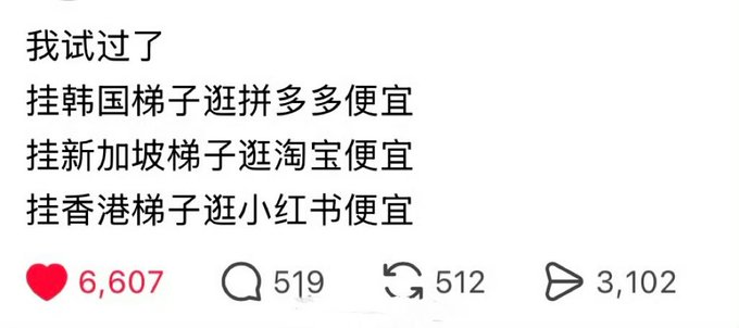 A Chinese social media post reads "我试过了 挂韩国梯子逛拼多多便宜 挂新加坡梯子逛淘宝便宜 挂香港梯子逛小红书便宜" with 6,607 likes, 519 comments, and 3,102 shares, humorously listing how using VPNs from different countries results in cheaper prices on Chinese shopping apps like Pinduoduo, Taobao, and Xiaohongshu, tying into the "严肃学习" (serious study) caption as a satirical observation about regional price discrimination.