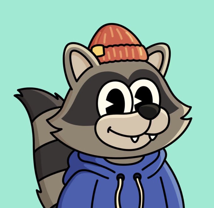 A cartoon illustration of a smiling raccoon wearing an orange and yellow knit beanie and a blue hoodie against a light teal background.