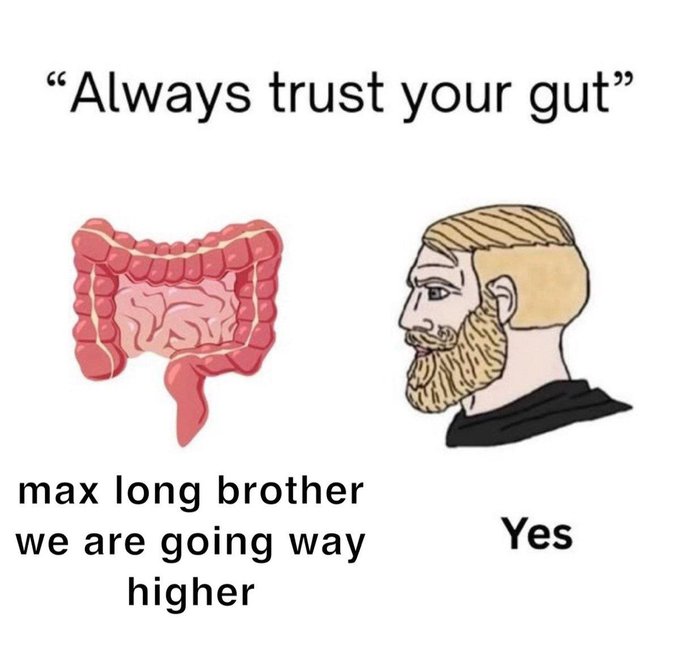A meme titled "Always trust your gut" showing a drawing of intestines next to a bearded man. The intestines are labeled "max long brother we are going way higher" and the man is labeled "Yes," humorously depicting the intestines as a bullish investor and the man agreeing.