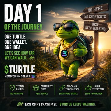 A promotional graphic titled 'DAY 1 OF THE JOURNEY' featuring a 3D-rendered turtle character wearing sunglasses and a gold chain with the Solana logo, walking with a backpack next to a signpost reading 'NO HYPE NO SHORTCUTS JUST KEEP WALKING', promoting the '$TURTLE' memecoin.