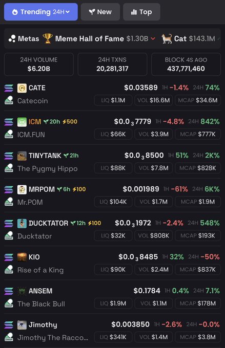 The image shows a cryptocurrency trending dashboard displaying top memecoins including CATE/Catecoin ($34.6M MCAP, +74%), ICM/IOM.FUN ($777K MCAP, +842%), TINYTANK/The Pygmy Hippo, MRPOM/Mr.POM ($1.9M MCAP, +6%), DUCKTATOR ($193K MCAP, +548%), KIO/Rise of a King ($837K MCAP), ANSEM/The Black Bull ($178M MCAP), and Jimothy, with a 24H volume of $6.20B across 20,281,317 transactions. The dashboard highlights top gainers like ICM and DUCKTATOR with massive 24H percentage gains, suggesting potential diversification options beyond a single memecoin holding.