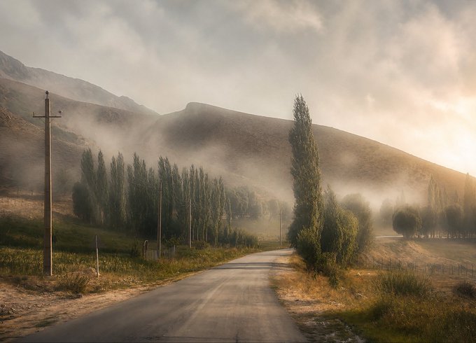 A winding road cuts through a misty landscape lined with tall poplar trees and rolling mountains, bathed in soft, golden light—evoking the tranquil, dreamlike atmosphere suggested by the title "Somewhere Between the Mist" for this Tezos NFT art piece (XTZ 90) posted via MadeArtBridge on objkt.com.