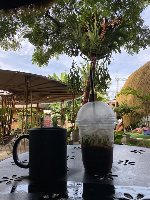 A black coffee mug and a plastic cup of iced coffee sit on a metal table beneath hanging plants, with a thatched-roof cafe and green trees in the background.