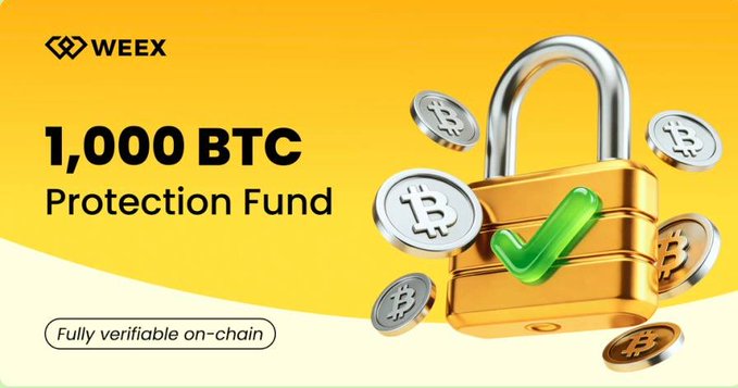 WEEX promotional banner highlighting its "1,000 BTC Protection Fund" with a padlock and Bitcoin coin graphic, emphasizing that the fund is "Fully verifiable on-chain" to support claims of exchange security and transparent 1:1 reserves.