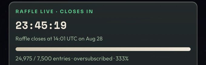 A dark-themed raffle countdown widget shows "RAFFLE LIVE · CLOSES IN" with 23:45:19 remaining until the raffle closes at 14:01 UTC on Aug 28. It displays 24,975 entries out of a 7,500 cap, noted as "oversubscribed · 333%", suggesting high demand for the Blokyz. event.