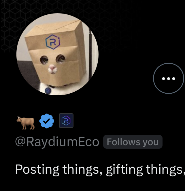 A social media profile for '@RaydiumEco' featuring a profile picture of a cat wearing a brown cardboard box, with the bio text 'Posting things, gifting things,'.