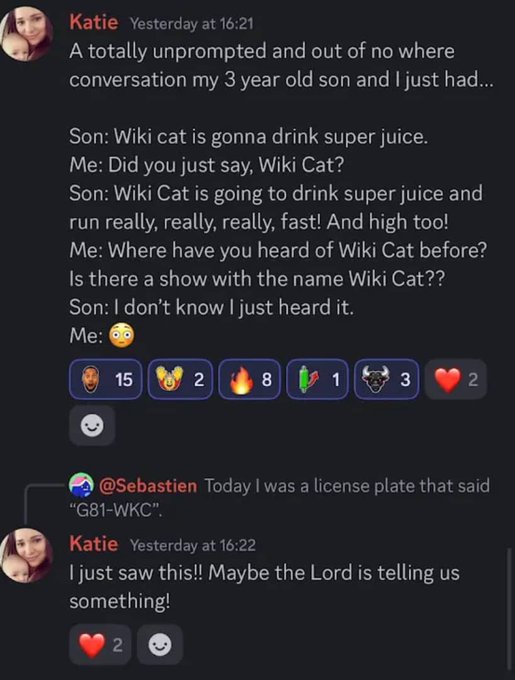 The image shows a conversation between two people, with one person's name displayed at the top of the screen and another person's name below them. The text appears to be a message or chat between the two individuals, but there are no visible images or other objects in the scene. The focus is on the interaction between the two people as they discuss something related to Wikicat $WKC.