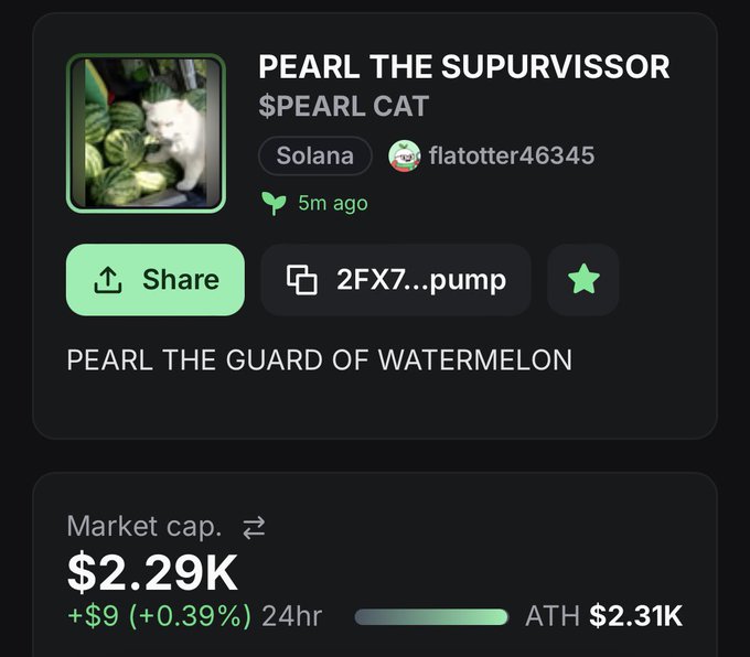 Screenshot of a memecoin listing called 'PEARL THE SUPURVISSOR' / '$PEARL CAT' on Solana blockchain, showing a market cap of $2.29K with the caption 'PEARL THE GUARD OF WATERMELON'.