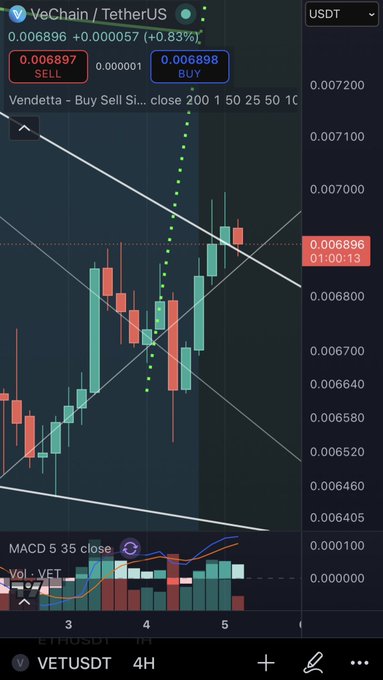 A cryptocurrency trading chart on TradingView showing the VeChain/TetherUS (VETUSDT) pair on a 4-hour timeframe, with a current price of 0.006896 USDT and a +0.83% increase, displaying a descending triangle pattern and MACD indicator.