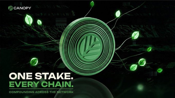 A promotional graphic for Canopy, a green-themed crypto staking platform, featuring a large coin logo surrounded by leaves with the text 'ONE STAKE. EVERY CHAIN.' and 'COMPOUNDING ACROSS THE NETWORK.'