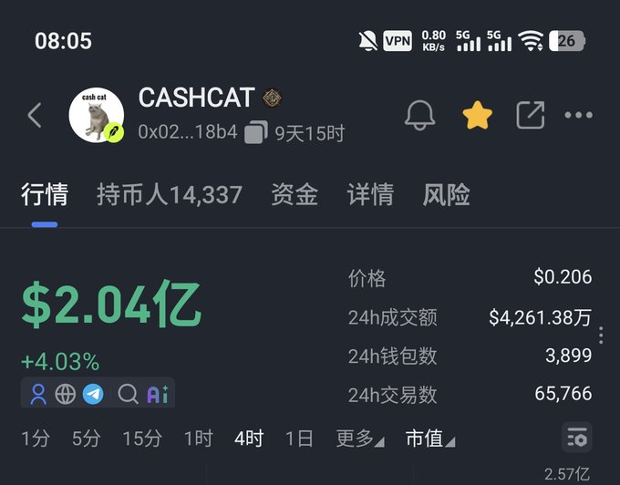 A screenshot of a cryptocurrency tracking app displays data for CASHCAT, showing a market cap of $2.04亿 (approximately $204 million) with a +4.03% gain, a price of $0.206, and 24-hour trading volume of $42.61 million—aligning with the post's claim that $CASHCAT surged to a ~$240 million market cap en route to $1 billion.