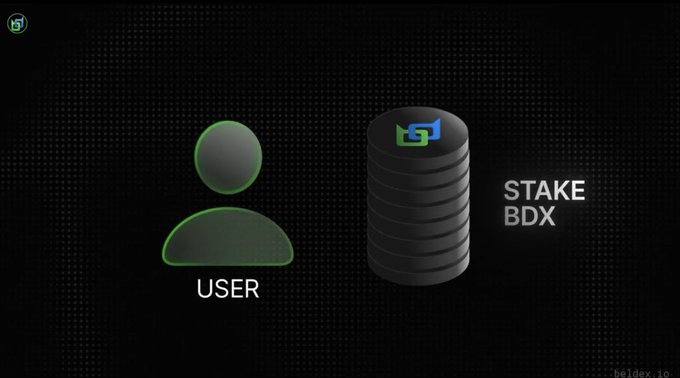 A diagram showing a green user icon labeled 'USER' next to a stack of coins labeled 'STAKE BDX', illustrating the BDX staking concept.