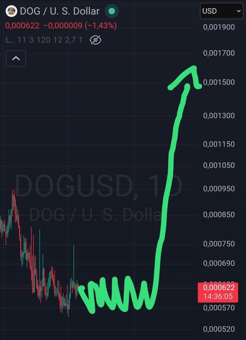 A DOG/USD chart shows a dramatic rally from around $0.00065 to a peak near $0.00175, before pulling back to $0.000622 (-1.43%), illustrating the volatile "to the moon" surge followed by a sharp correction.